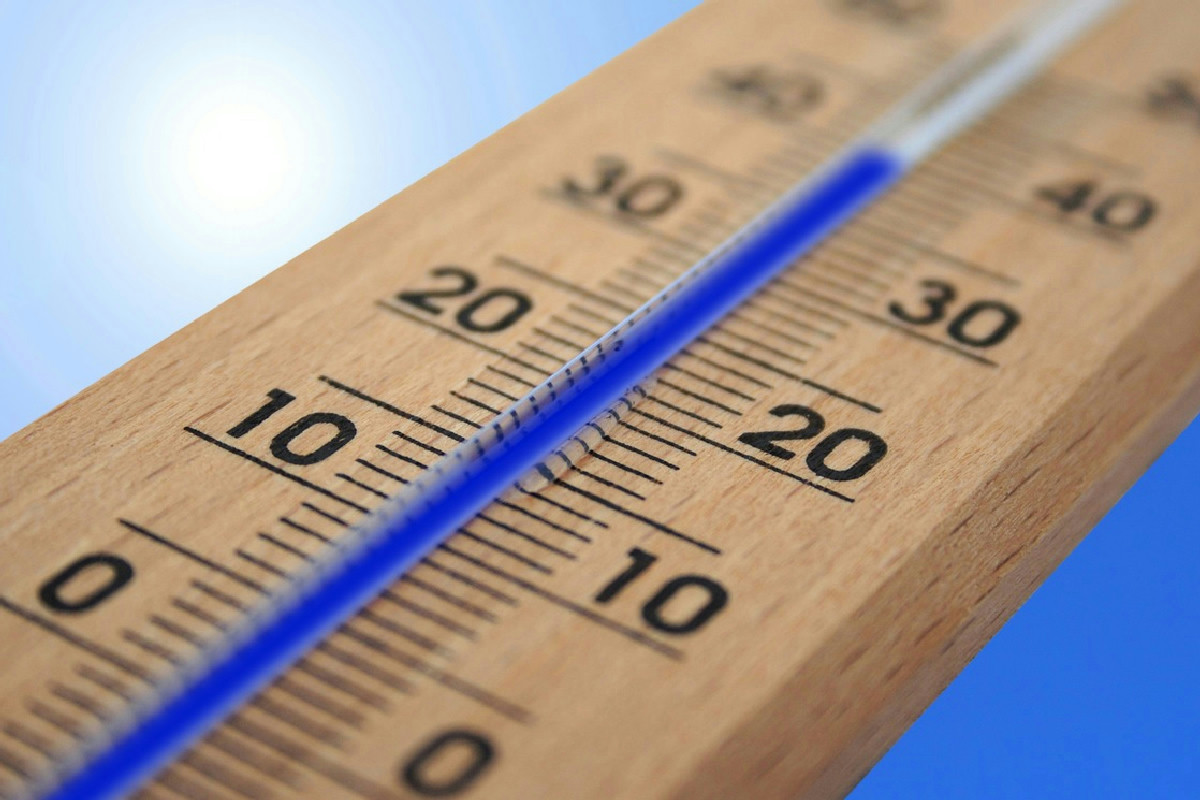 Impostare male la temperatura del frigorifero ti costa caro: la bolletta cresce fino al 50%