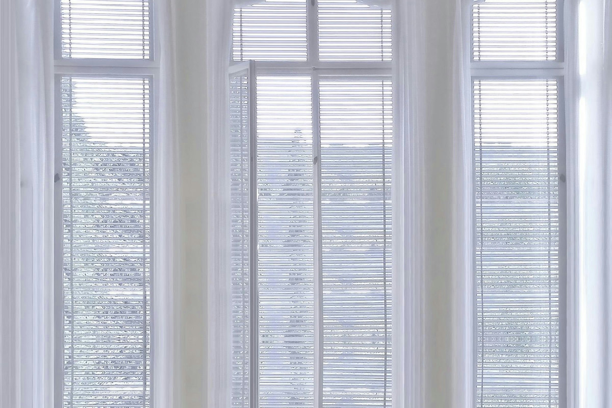 Il mio basilico rimane verde e fragrante tutto l’inverno: i miei trucchi per un vaso perfetto