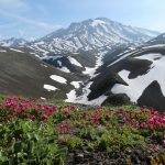 Non immagineresti mai dove la natura si supera: i 20 spettacoli più rari da vedere almeno una volta
