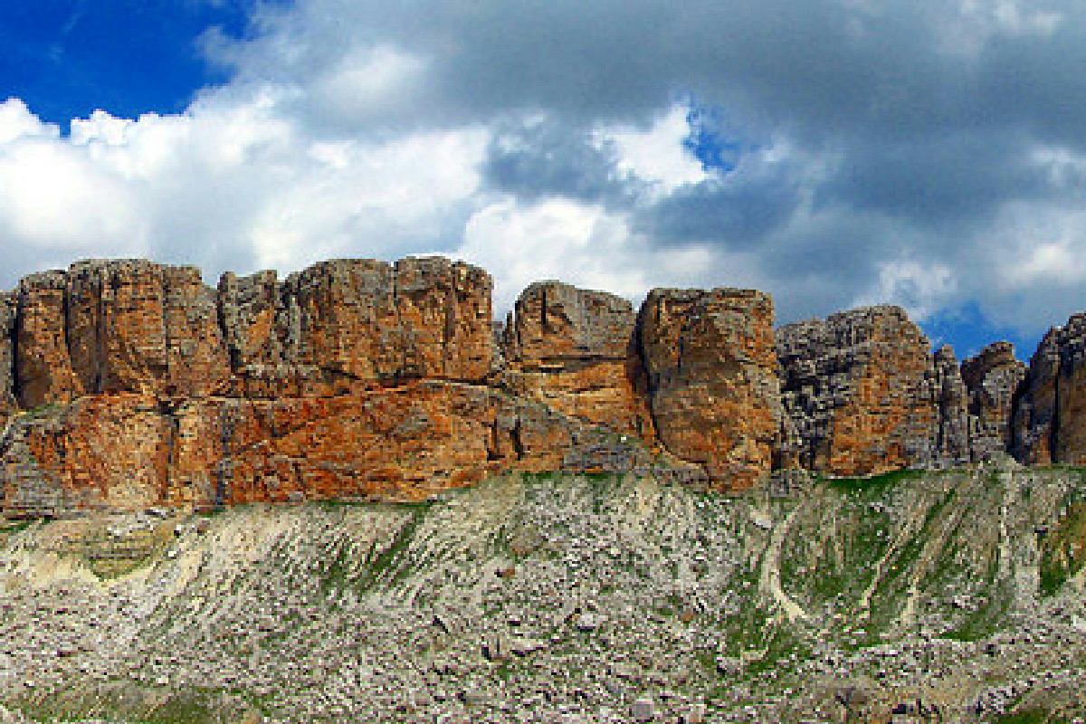 Il pungitopo tra tradizione e bellezza: storia, segreti e consigli per farlo prosperare ovunque